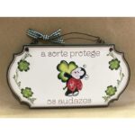 Placa Decorativa - A sorte protege os audazes