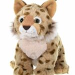 Peluche Lince Baby 20cm - Wild Republic